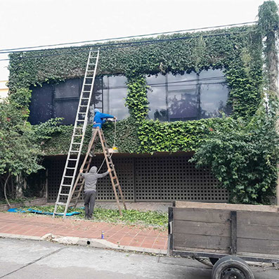 Adonai - Jardinería y Poda de Árboles 