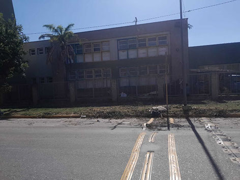 Adonai - Jardinería y Poda de Árboles 